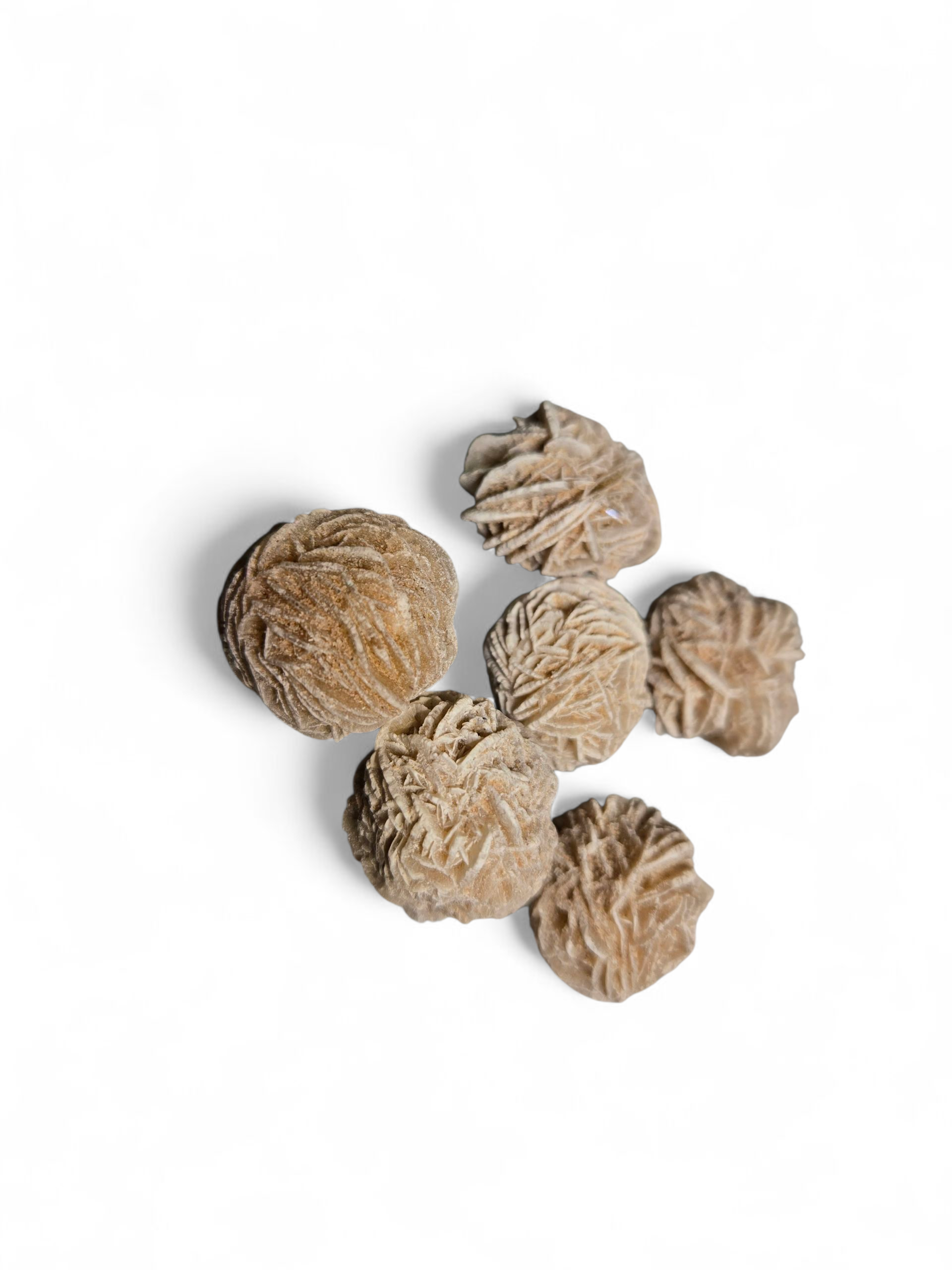 Desert Rose Selenite